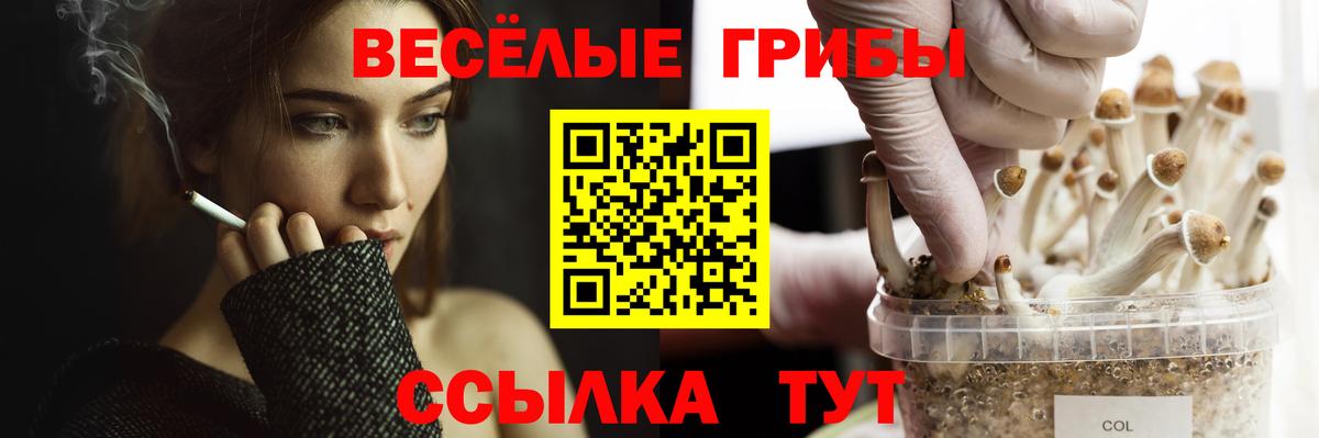 Псилоцибиновые грибы GOLDEN TEACHER  Псилоцибиновые грибы MAGIC MUSHROOMS  Вход с VPN  купить наркотик  Орск 